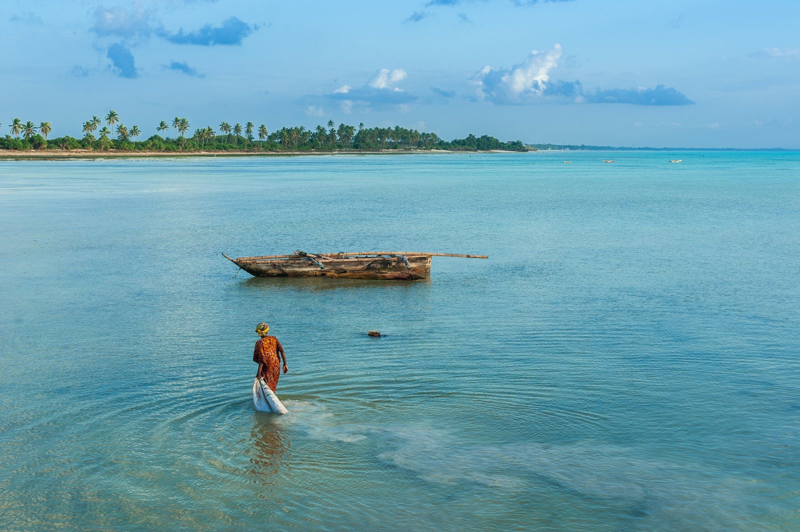 Local woman collects algae in the ocean on the island of Zanzibar, Jambiani beach. The life and work of local residents.