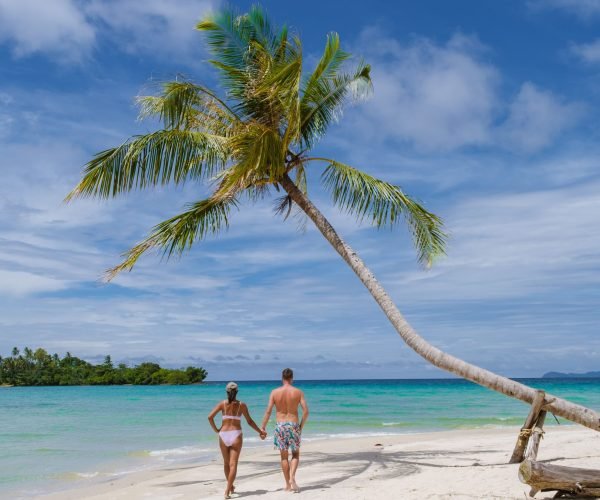 tropical-beach-with-palm-trees-at-the-island-of-ko-2026-03-17-04-52-41-utc